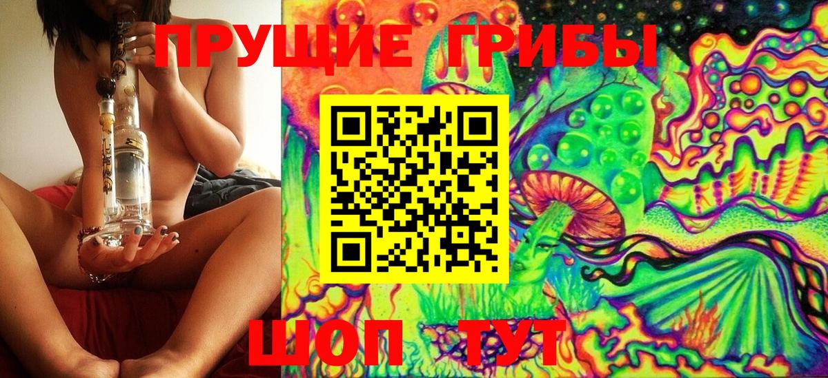 Тамбов  Галлюциногенные грибы Cubensis  Вход с VPN 