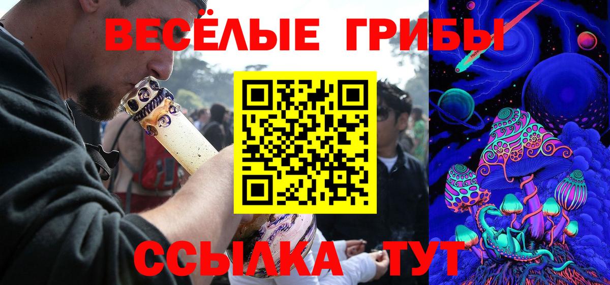 Псилоцибиновые грибы прущие грибы Тамбов